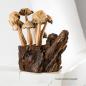 Preview: Handgefertigte Pilze Wiese aus Naturholz (ca. 14cm)
